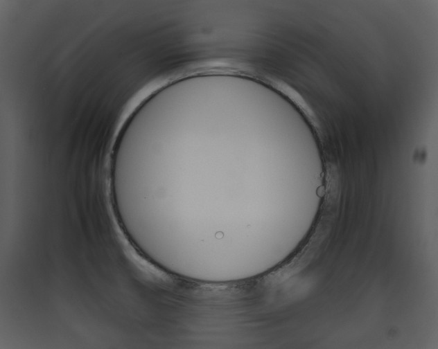 X0000090411474200707130915
