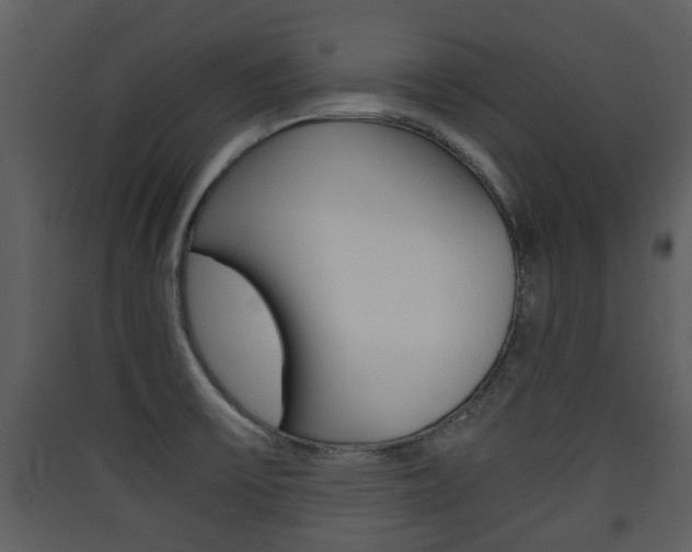 X0000090411475200707130915
