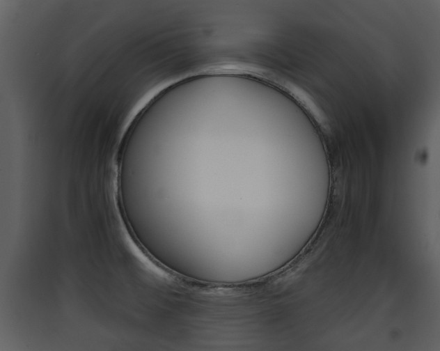 X0000090411476200707130915