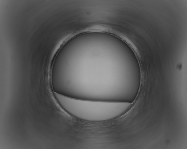 X0000090411477200707130915