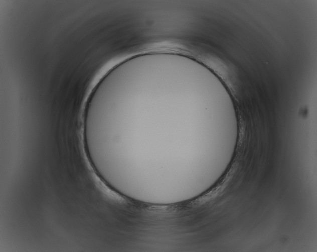 X0000090411478200707130915