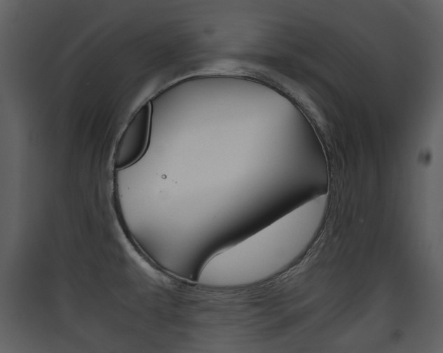 X0000090411479200707130915