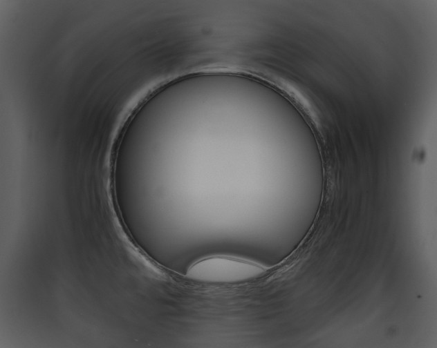 X0000090411480200707130914