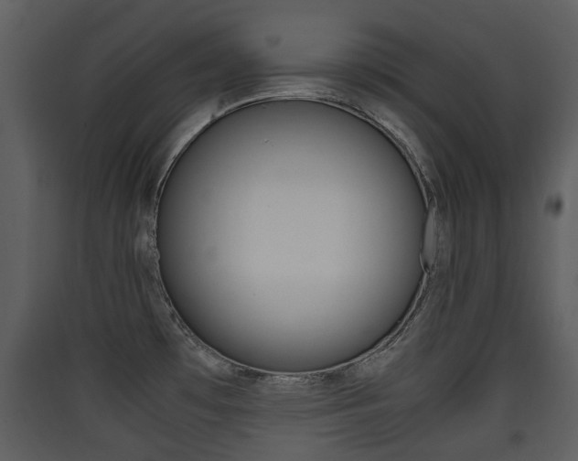 X0000090411481200707130914