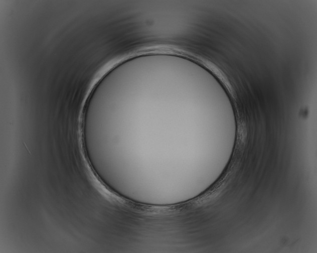 X0000090411482200707130914