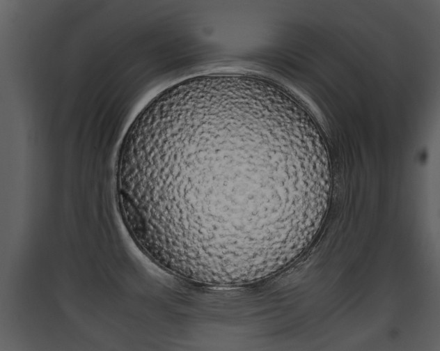 X0000090411483200707130914