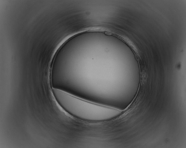 X0000090411484200707130914
