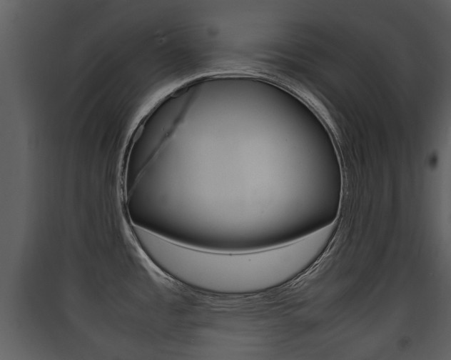X0000090411485200707130914