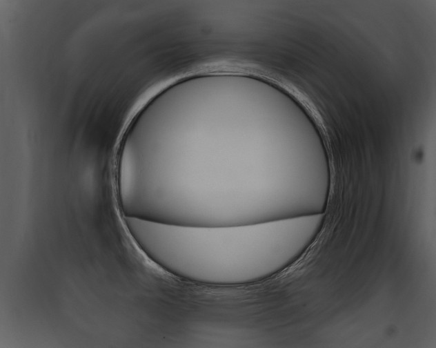 X0000090411486200707130914
