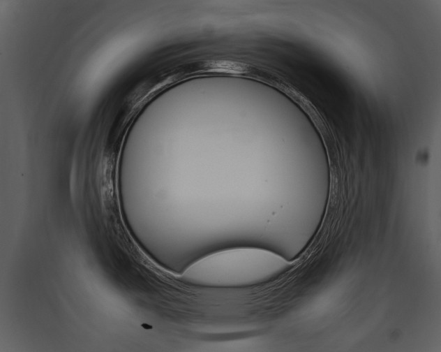 X0000090411487200707130914