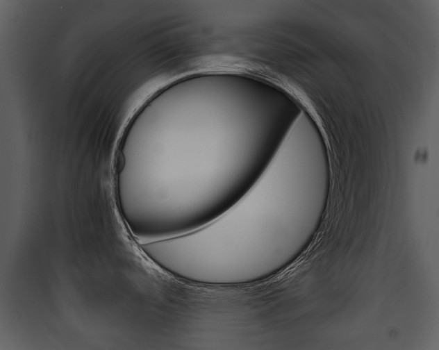 X0000090411488200707130914