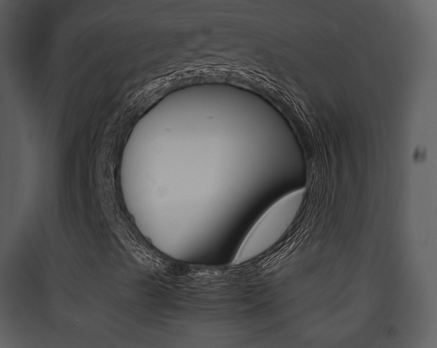 X0000090411489200707130914