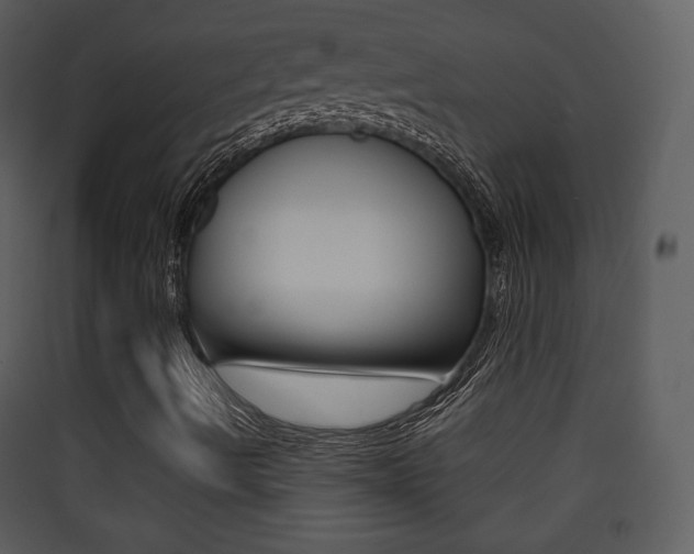 X0000090411490200707130914