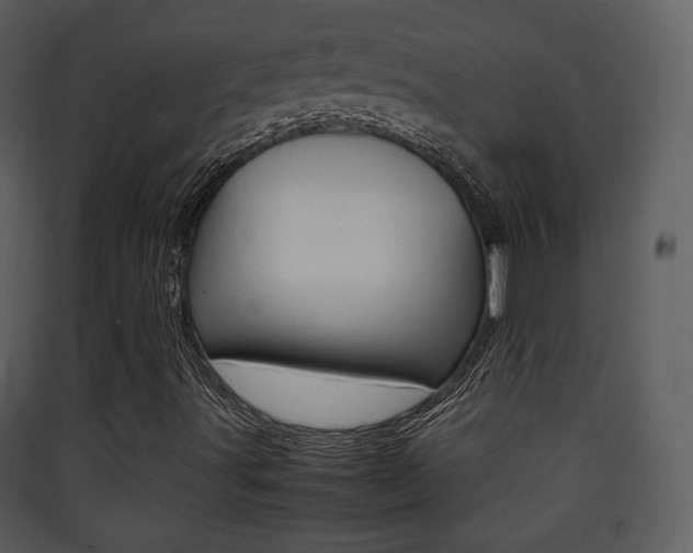 X0000090411491200707130914