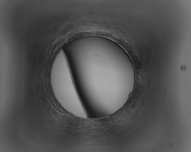 X0000090411493200707130914