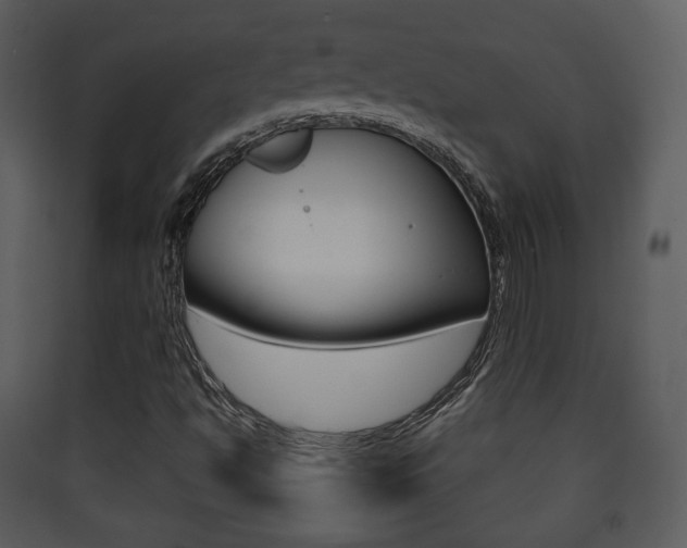 X0000090411494200707130914