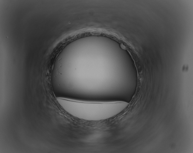 X0000090411495200707130914