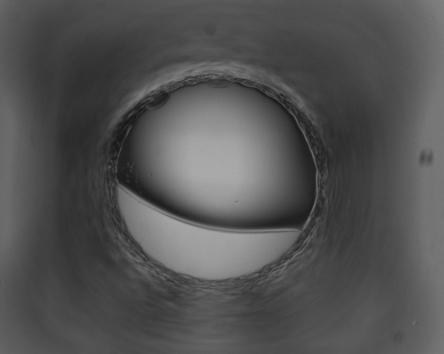 X0000090411496200707130914