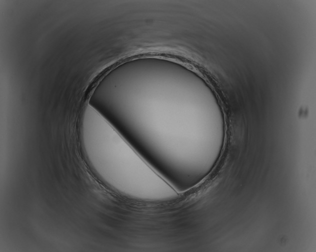 X0000090411497200707130914