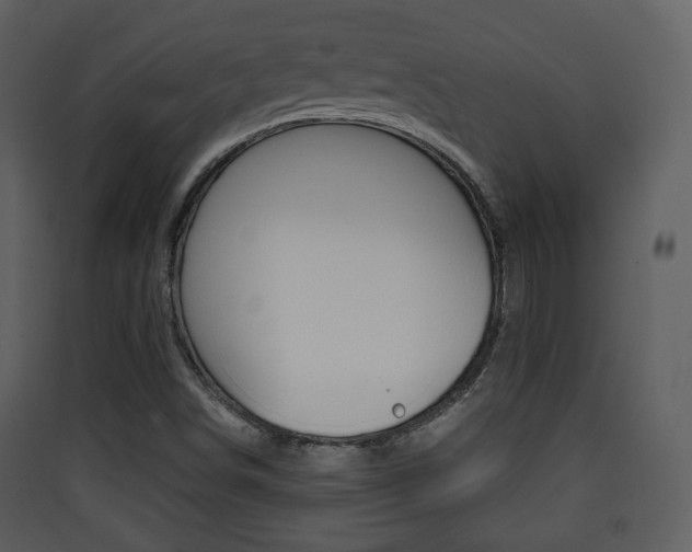 X0000090411498200707130914