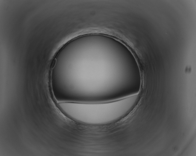 X0000090411500200707130914