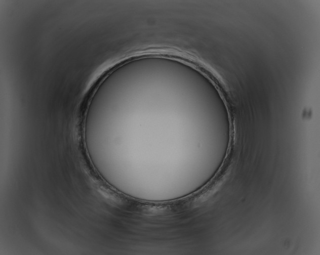 X0000090411501200707130914