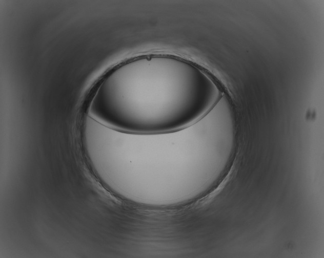 X0000090411502200707130914