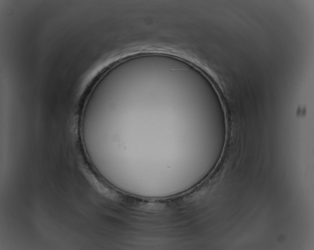 X0000090411503200707130914