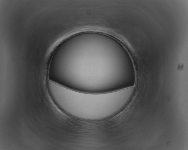 X0000090411504200707130914