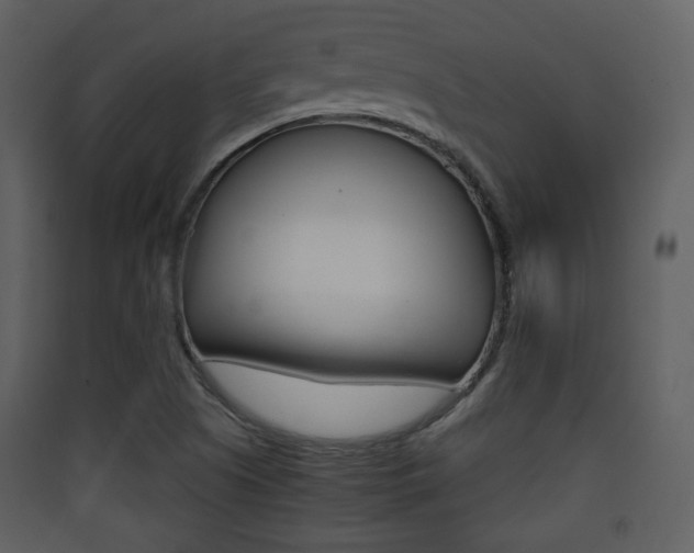 X0000090411505200707130914