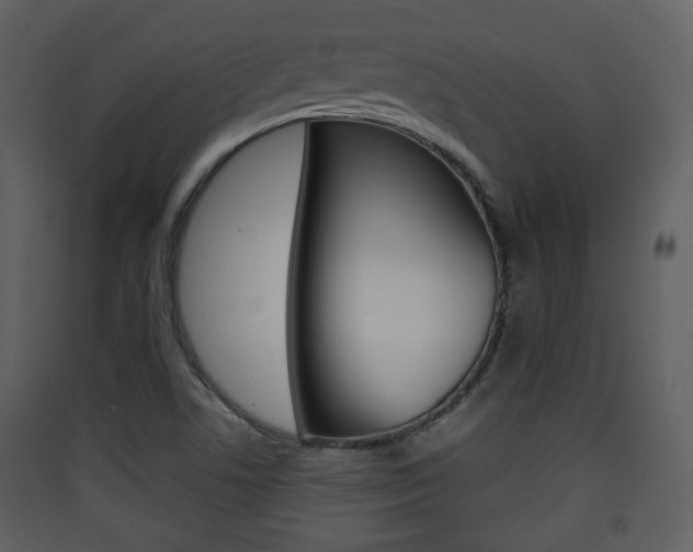 X0000090411506200707130914