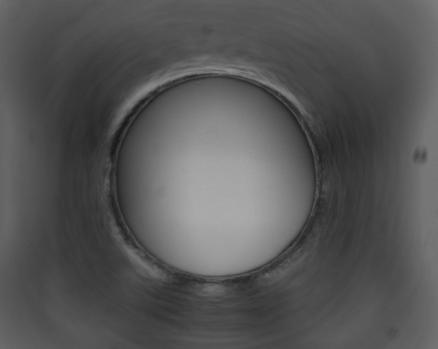 X0000090411507200707130914