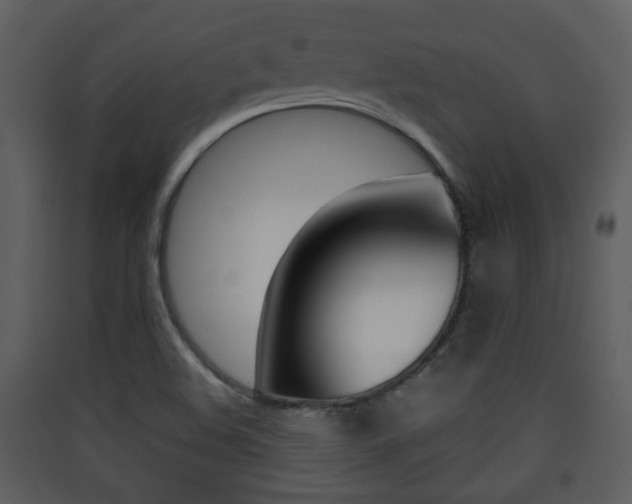 X0000090411508200707130914