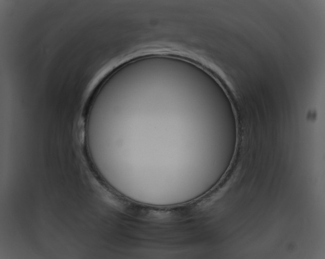 X0000090411509200707130914