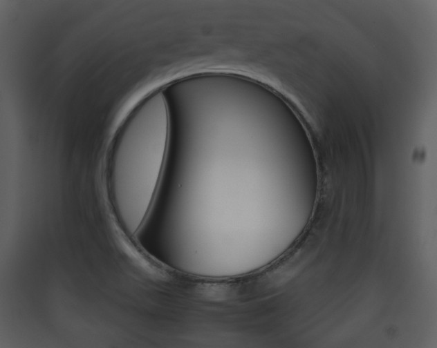 X0000090411511200707130914