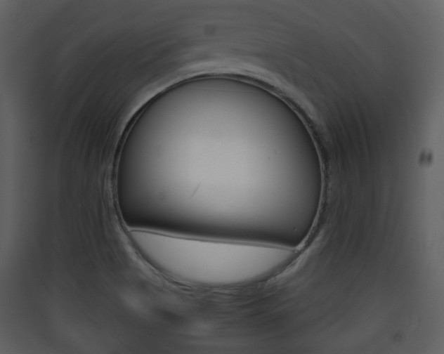 X0000090411513200707130914