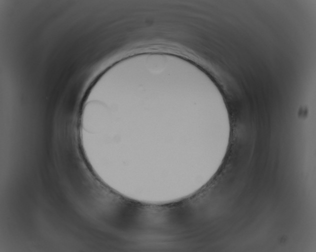 X0000090411514200707130914