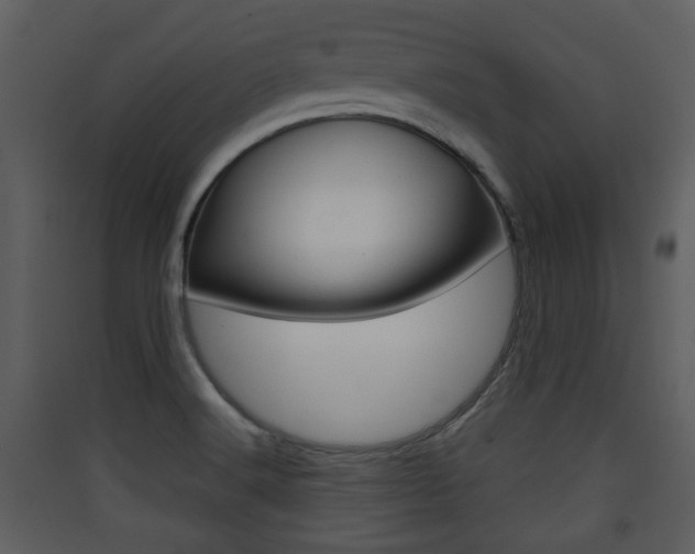 X0000090411516200707130914