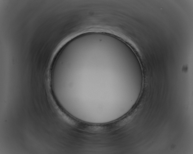 X0000090411517200707130914