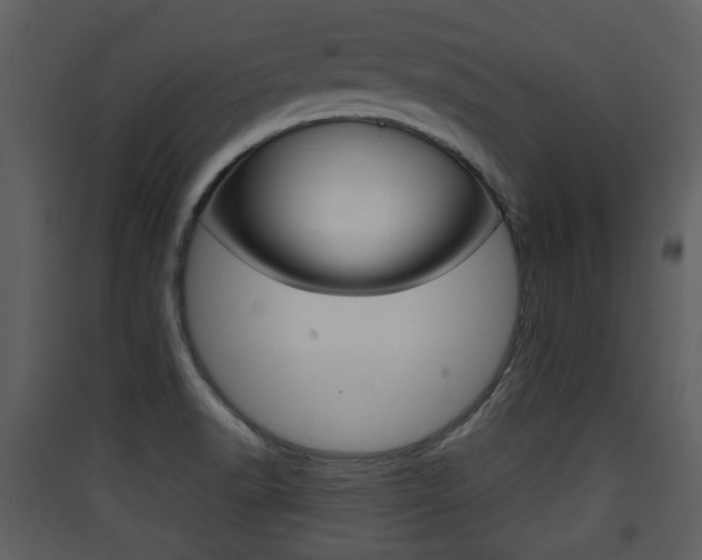 X0000090411518200707130914