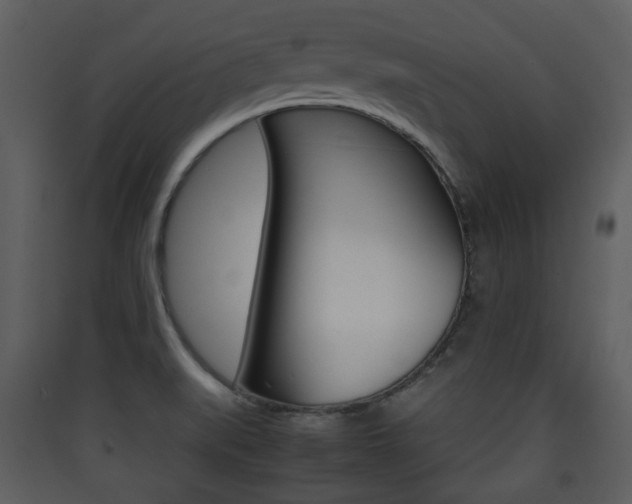 X0000090411519200707130914