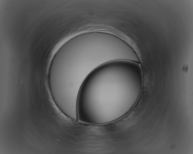 X0000090411520200707130914