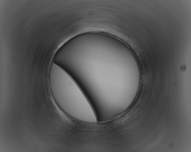 X0000090411521200707130914