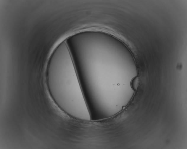 X0000090411522200707130914
