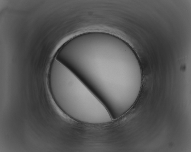 X0000090411523200707130914