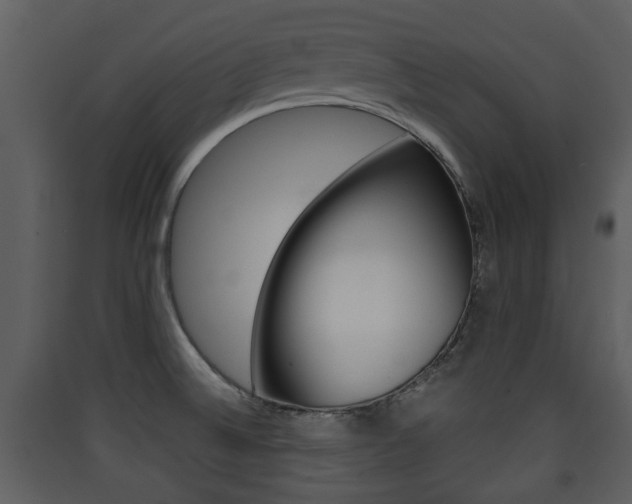 X0000090411524200707130914