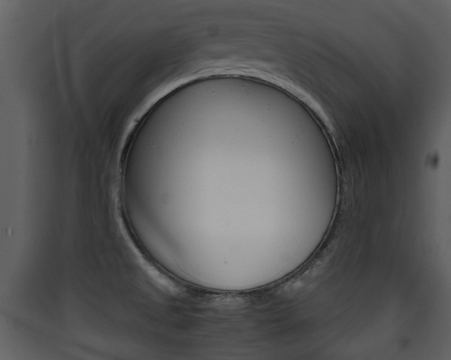 X0000090411525200707130914