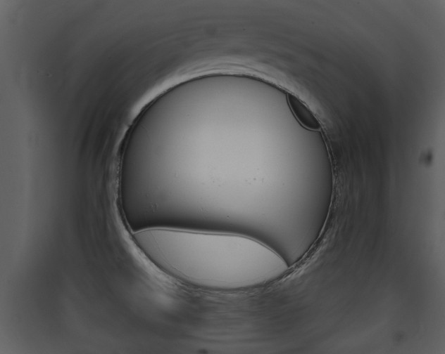 X0000090411526200707130914