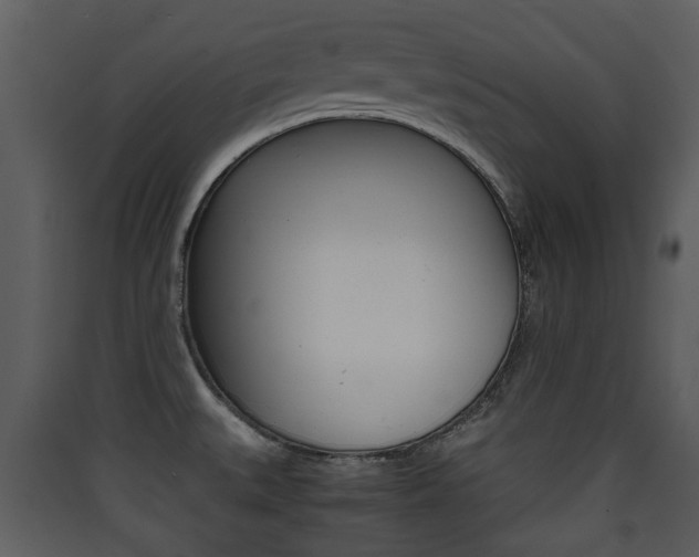 X0000090411527200707130914