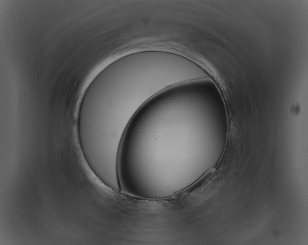 X0000090411528200707130914